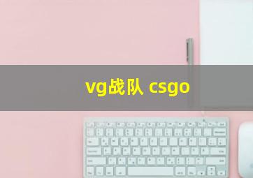 vg战队 csgo